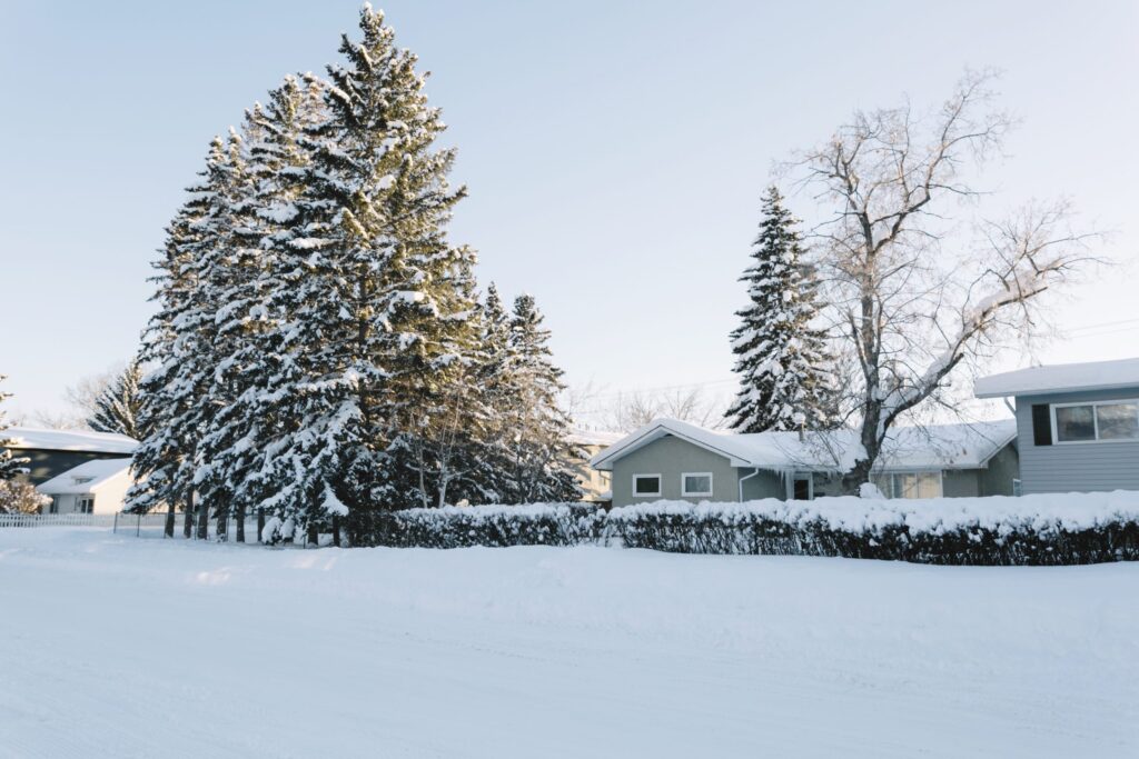 De-icing Your Roof Like a Pro