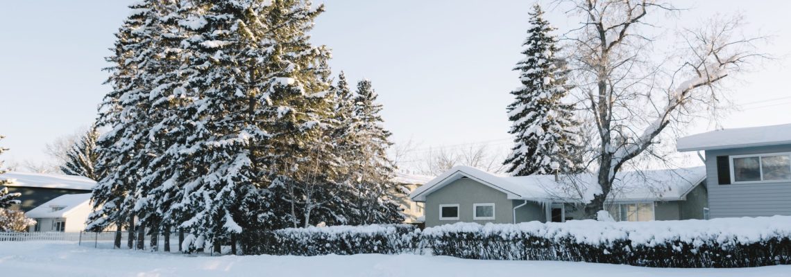 De-icing Your Roof Like a Pro